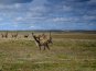 Tierra del Fuego